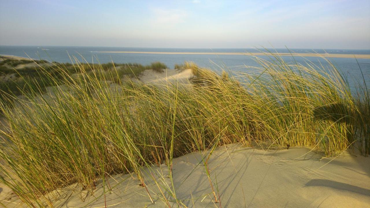 Cottage La Dune Avec Piscine Les Cigales Du Bassin A Gujan-Mestras Exterior foto